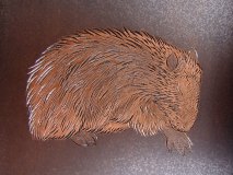 カピバラ 額絵 ”ぺろっとカピ”