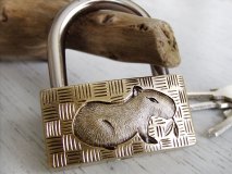 カピバラ、食べてますけど…ほんのり守る南京錠