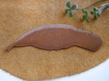 寝カピトレー カピバラの銅製トレー